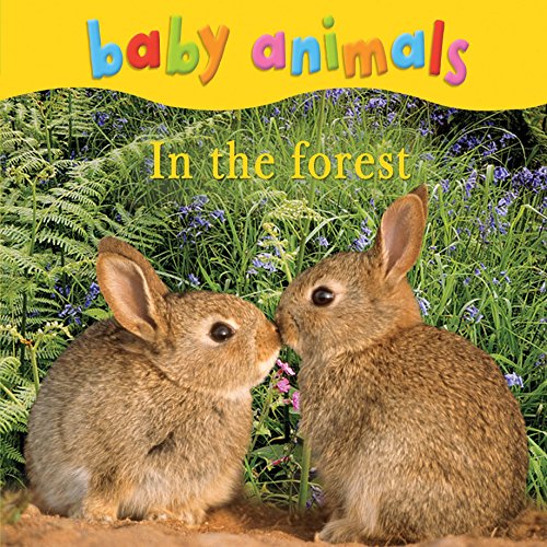 Baby Animals in the Forest. (9780753431122) by Kingfisher Publications