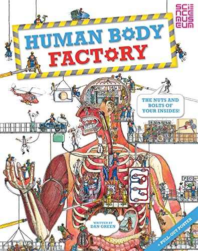 Beispielbild fr The Human Body Factory: A Guide To Your Insides zum Verkauf von WorldofBooks