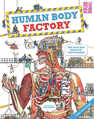 9780753431672: The Human Body Factory: A Guide To Your Insides