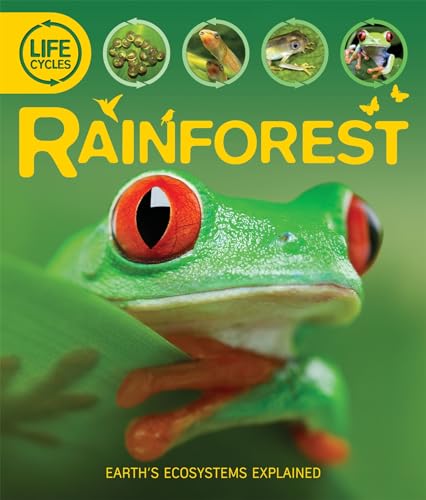 Beispielbild fr Life Cycles: Rainforest zum Verkauf von AwesomeBooks