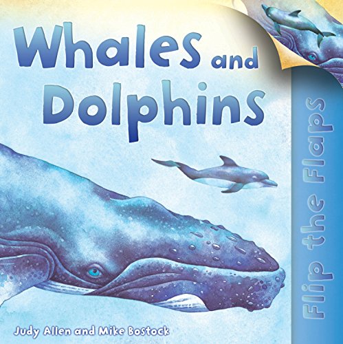 Whales and Dolphins (9780753431818) by Judy Allen