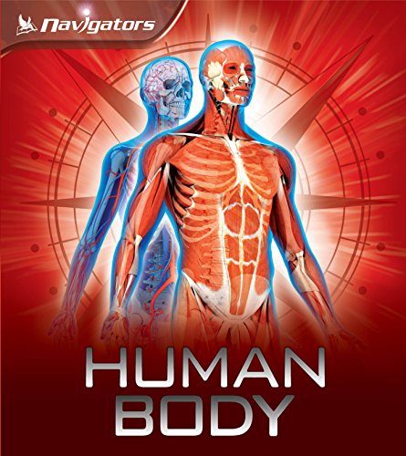 9780753431887: Navigators: Human Body