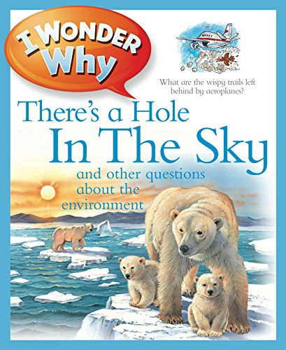Stock image for I Wonder Why There's a Hole in the Sky for sale by WorldofBooks