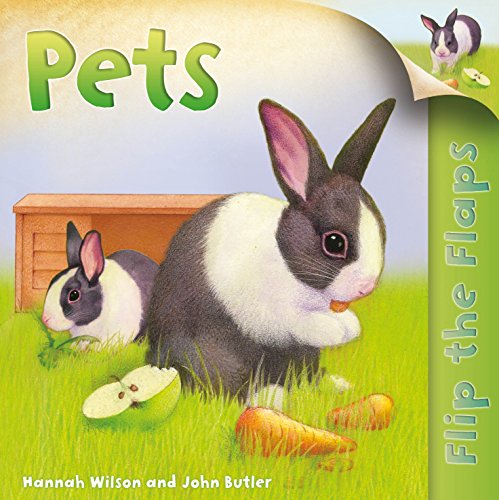 Beispielbild fr Flip the Flaps: Pets zum Verkauf von AwesomeBooks