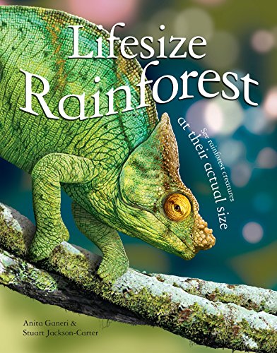 Stock image for Lifesize Rainforest for sale by WorldofBooks