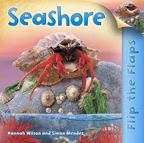Stock image for Flip the Flaps: Seashore for sale by WorldofBooks