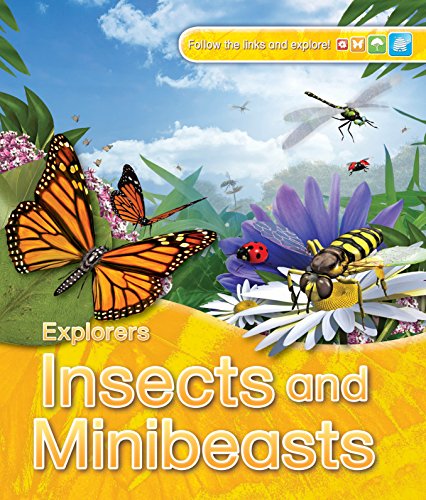 9780753437377: Explorers: Insects and Minibeasts (Explorers, 58)