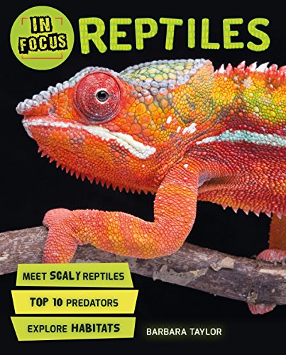 9780753441411: In Focus: Reptiles (In Focus, 9)