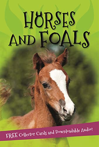 9780753442524: It's all about... Horses and Foals