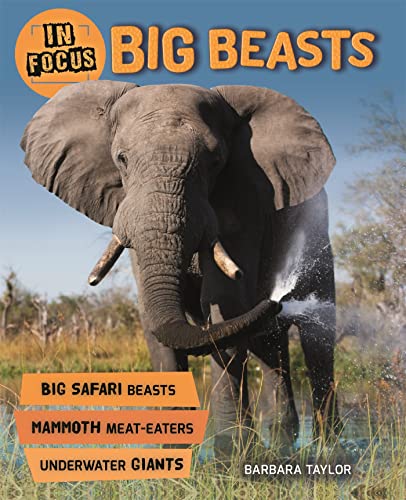 Stock image for Big Beasts for sale by Blackwell's