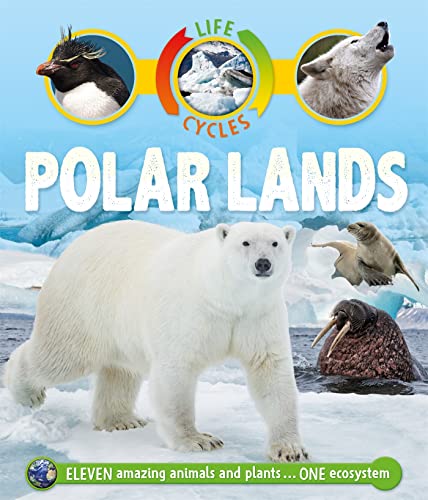 Beispielbild fr Life Cycles: Polar Lands zum Verkauf von AwesomeBooks