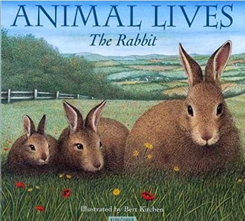 Beispielbild fr The Rabbit (Animal Lives) zum Verkauf von Wonder Book