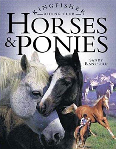 Imagen de archivo de Horses and Ponies (Kingfisher Riding Club) a la venta por Gulf Coast Books