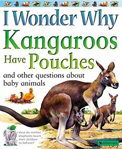 Stock image for I Wonder Why Kangaroos Have Pouches: And Other Questions About Baby Animals for sale by Wonder Book