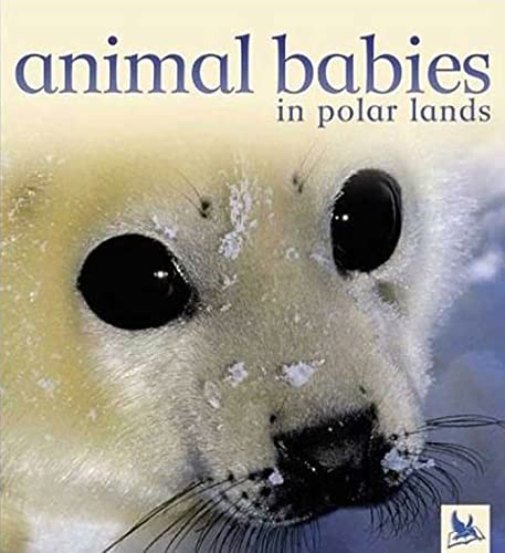 Imagen de archivo de Animal Babies in Polar Lands a la venta por Better World Books