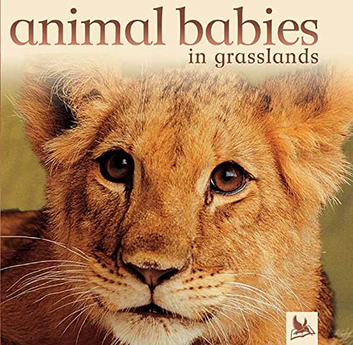 Stock image for Animal Babies in Grasslands for sale by BooksRun