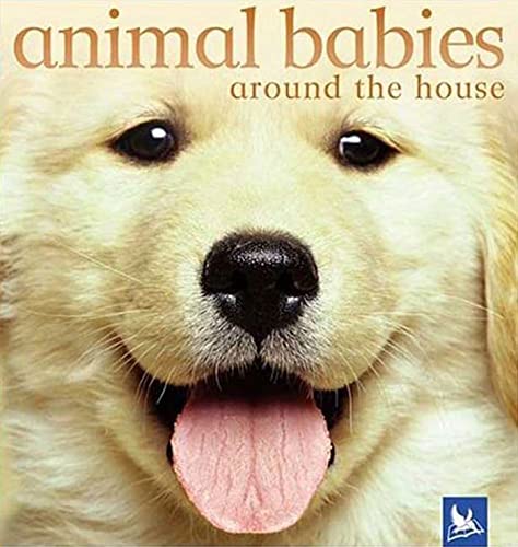 Beispielbild fr Animal Babies Around The House zum Verkauf von Ammareal
