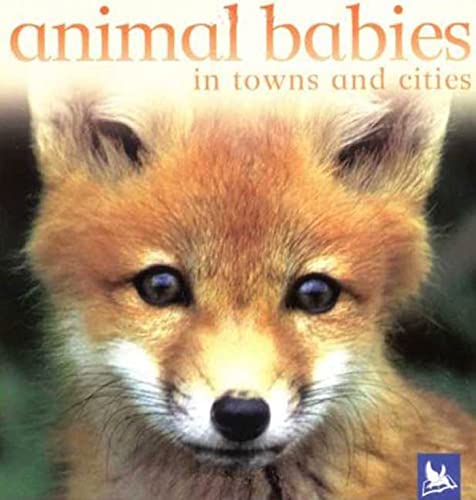 9780753458419: Animal Babies in Towns and Cities (Animal Babies (Kingfisher))