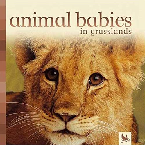 animals grasslands - AbeBooks