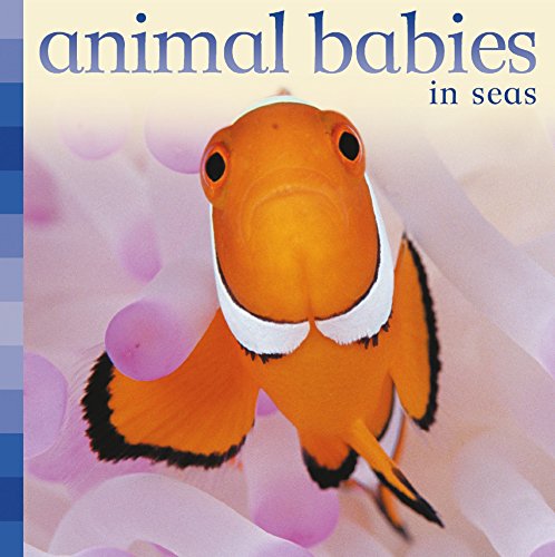 Stock image for Animal Babies in Seas for sale by SecondSale