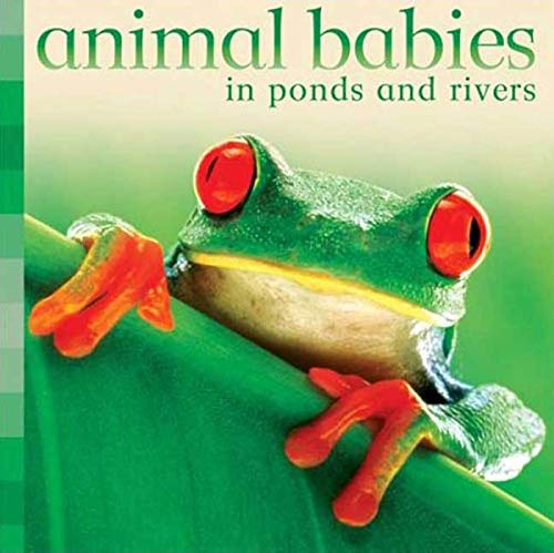 Beispielbild fr Animal Babies in Ponds and Rivers zum Verkauf von Wonder Book