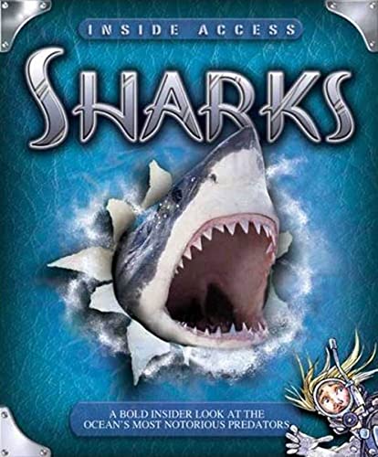 Beispielbild fr Sharks : A Bold Insider Look at the Ocean's Most Notorious Predators zum Verkauf von Better World Books