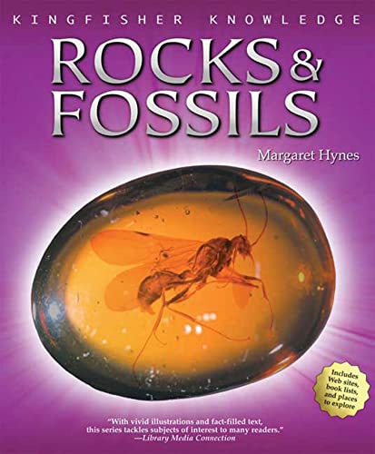 Beispielbild fr Rocks and Fossils zum Verkauf von Better World Books