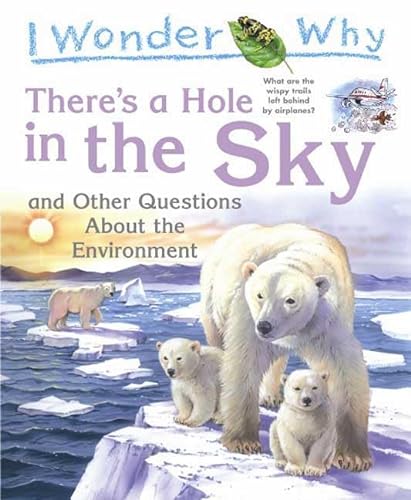 Stock image for There's a Hole in the Sky : And Other Questions about the Environment for sale by Better World Books