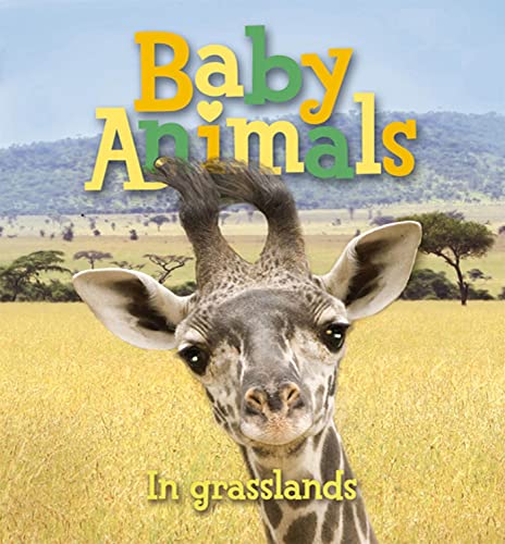 9780753464922: Baby Animals in Grasslands (Baby Animals (Kingfisher))