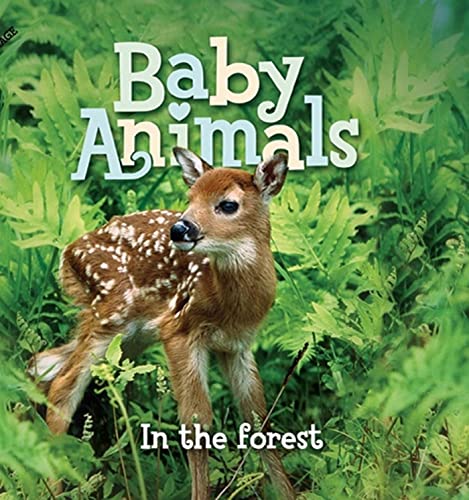 Stock image for Baby Animals in the Forest for sale by Better World Books