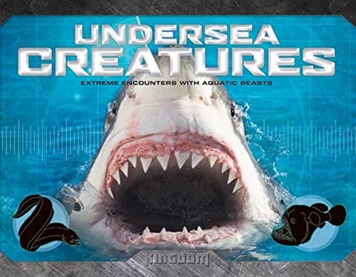 Stock image for Kingdom: Undersea Creatures for sale by Half Price Books Inc.
