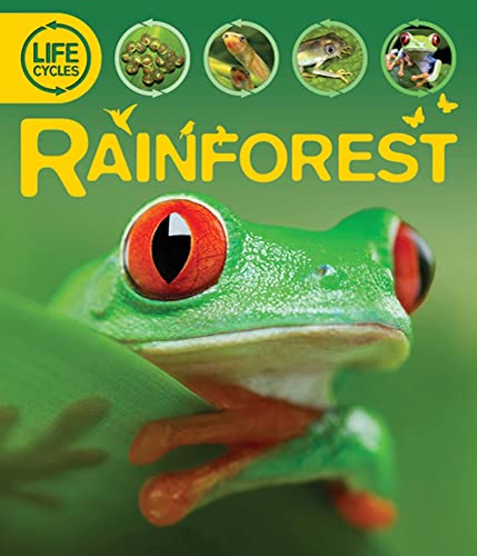 9780753465769: Life Cycles: Rainforest