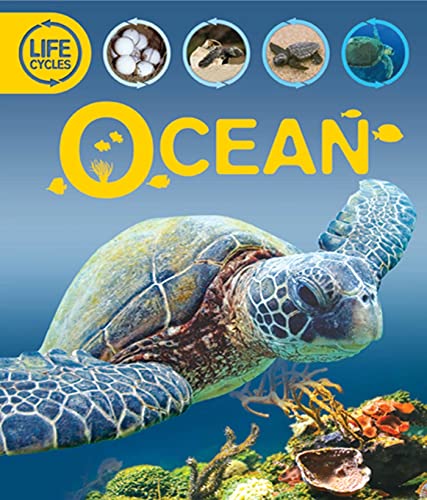 Beispielbild fr Ocean zum Verkauf von Better World Books