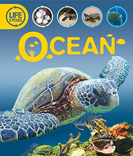 Imagen de archivo de Ocean a la venta por Better World Books