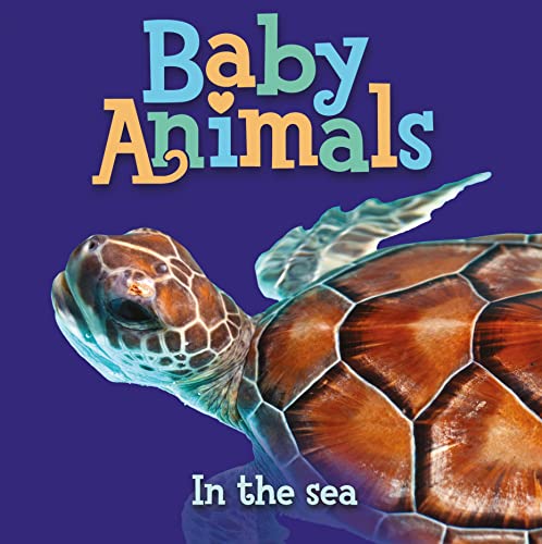 Beispielbild fr Baby Animals In the Sea zum Verkauf von SecondSale
