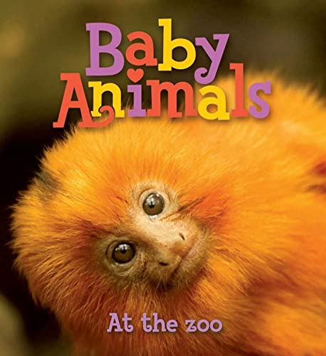 Beispielbild fr Baby Animals At the Zoo zum Verkauf von Your Online Bookstore