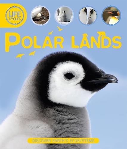 Beispielbild fr Life Cycles: Polar Lands zum Verkauf von Wonder Book