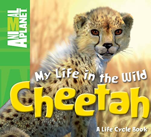 Imagen de archivo de My Life in the Wild: Cheetah a la venta por Better World Books