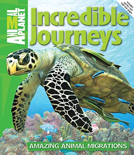 Beispielbild fr Incredible Journeys : Amazing Animal Migrations zum Verkauf von Better World Books
