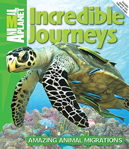 Stock image for Incredible Journeys : Amazing Animal Migrations for sale by Better World Books