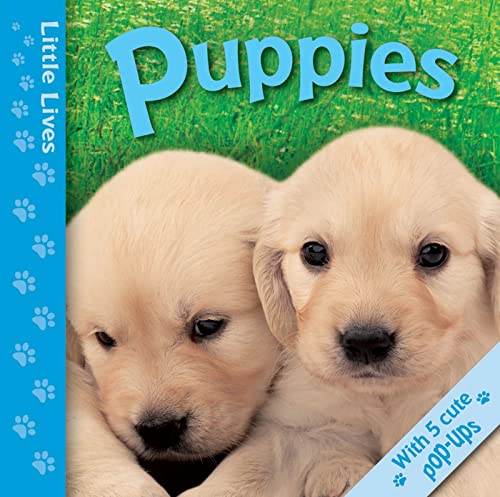 Little Lives: Puppies: A pop-up life journey (9780753467374) by Allison, Catherine