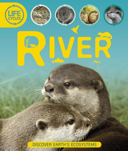 Stock image for Life Cycles - River for sale by Better World Books: West