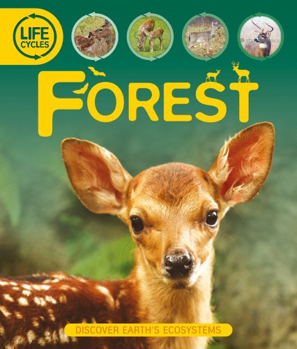 Beispielbild fr Life Cycles: Forest zum Verkauf von Better World Books