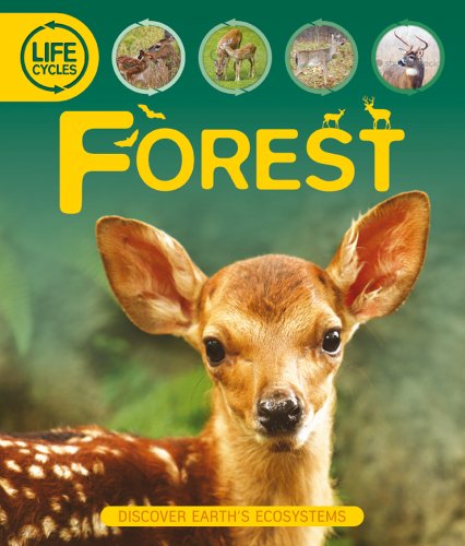 Stock image for Life Cycles: Forest for sale by Better World Books
