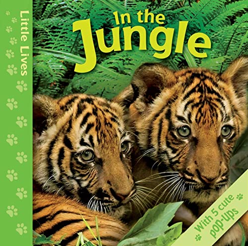 Little Lives: In the Jungle: A pop-up life journey (9780753467862) by Allison, Catherine