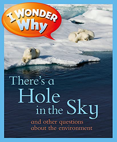 Imagen de archivo de I Wonder Why There's a Hole in the Sky a la venta por Better World Books