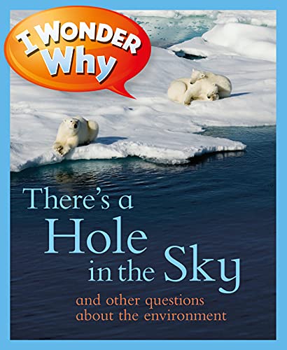Stock image for I Wonder Why There's a Hole in the Sky for sale by SecondSale