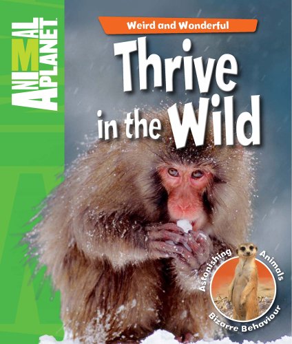 Thrive in the Wild (Animal Planet Weird and Wonderful) (9780753468036) by Whitfield, Phil; Animal Planet