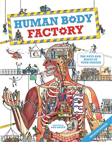 Beispielbild fr Human Body Factory : The Nuts and Bolts of Your Insides zum Verkauf von Better World Books