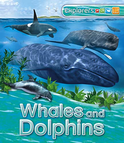 Beispielbild fr Explorers: Whales and Dolphins zum Verkauf von Wonder Book